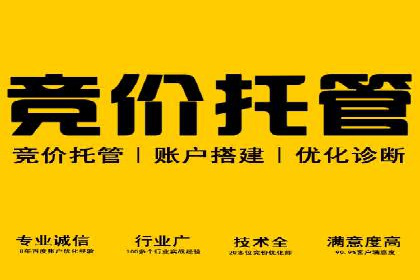 竞价推广优化技巧：实战案例详解